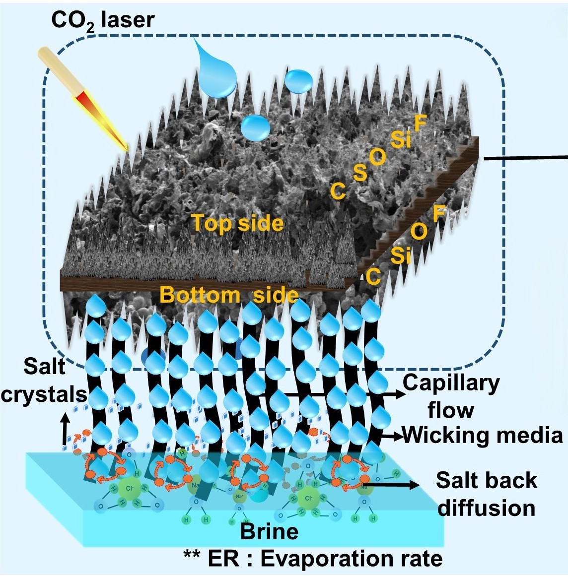 Graphical representation of DSLIG. Credits: Authors of the study
