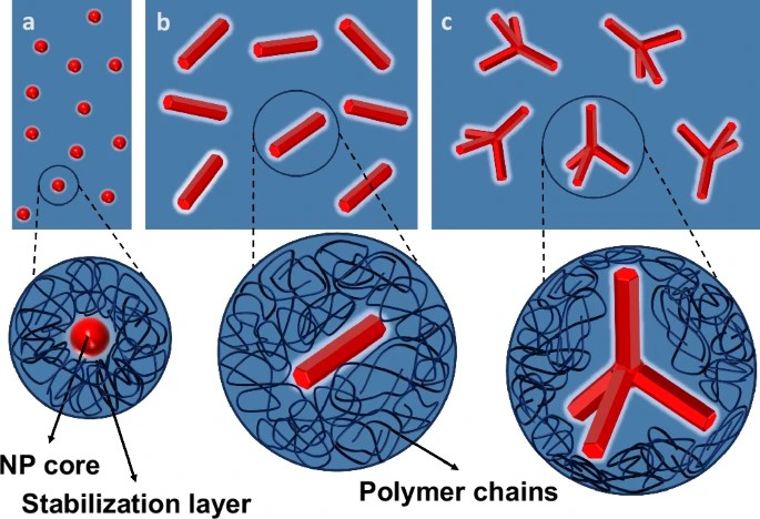 A visualisation of how polymer molecules behave differently around different nanoparticle shapes. The threads are polymer chains, and the red shapes are nanoparticles. Notice the lower density around tetrapods. [Credits: Authors of the study]