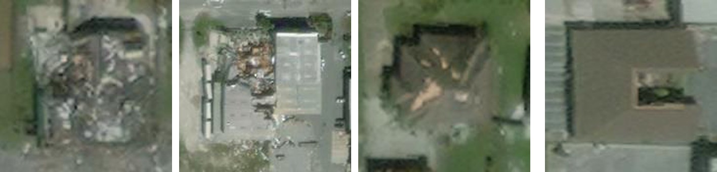 Building damage classes for Hurricane Michael: (from left to right) destroyed, major damage, minor damage, and no damage. (Talreja and Durbha, 2025)