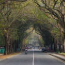 IITB Market gate road